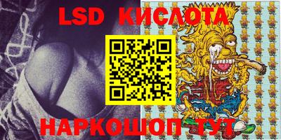 кокс Кингисепп