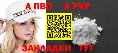 кокс Кингисепп