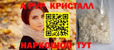 кокс Кингисепп